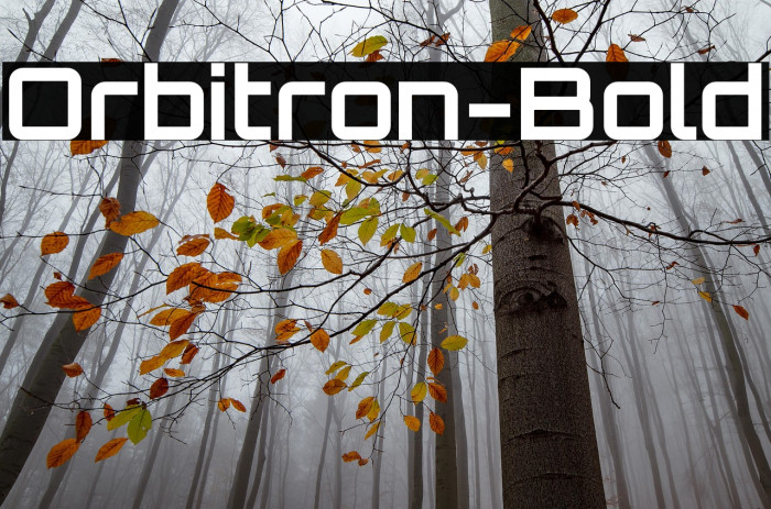 Orbitron-Bold Example 1