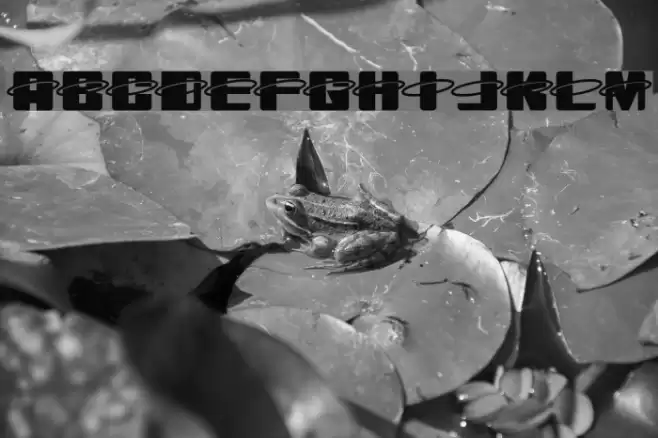 Orbitronio Polices examples