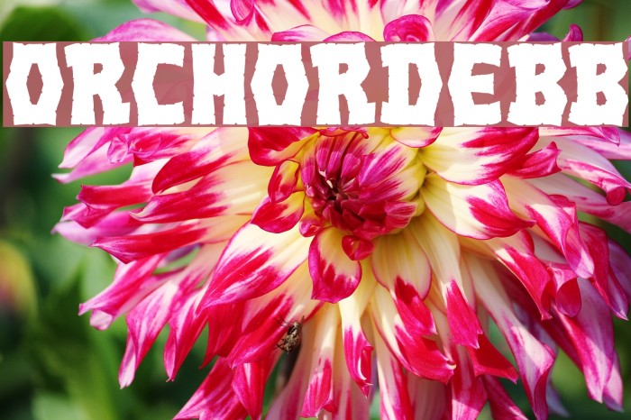 OrcHordeBB Font examples