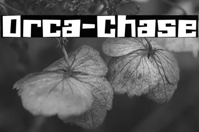 Orca-Chase Font examples