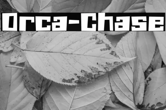 Orca-Chase Font examples