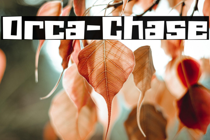 Orca-Chase Example 3