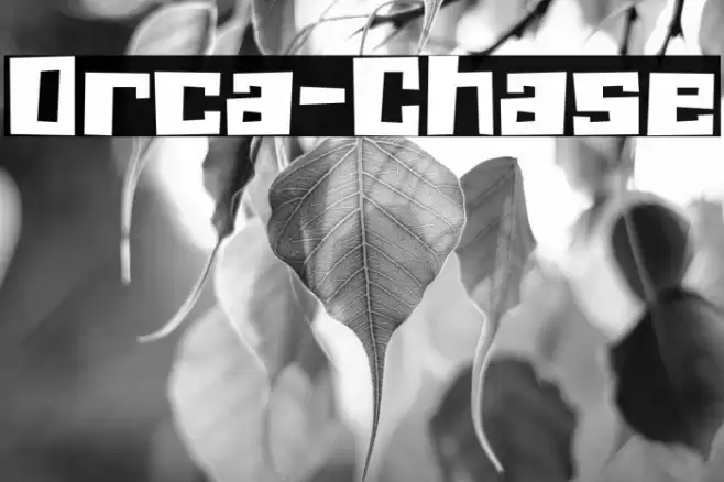 Orca-Chase Font examples