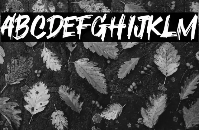 Orca Role Caratteri examples