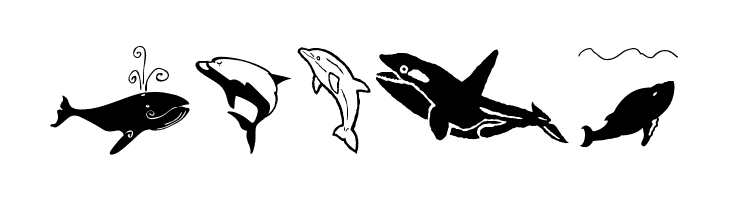Orcas  Скачать бесплатные шрифты