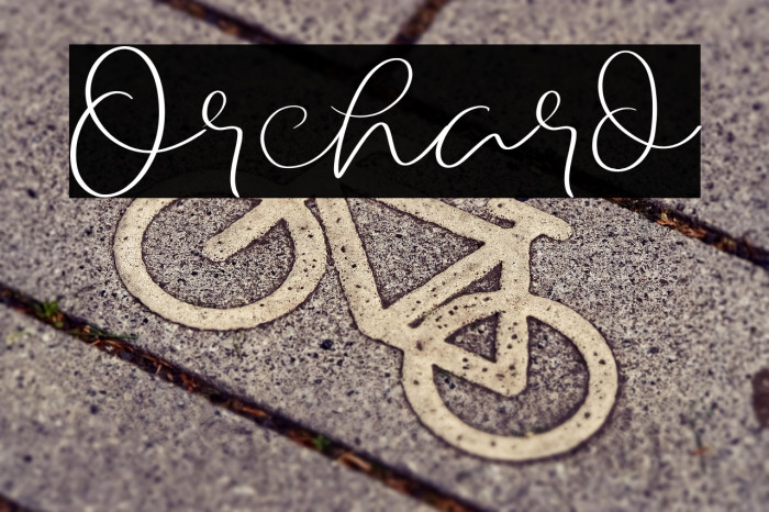 Orchard Example 2