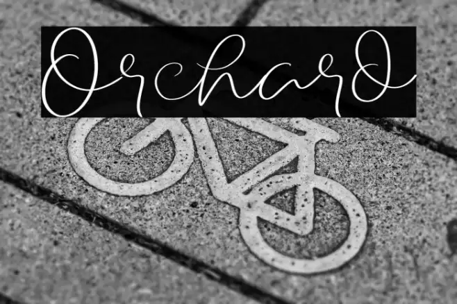 Orchard Font examples