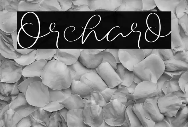 Orchard Font examples