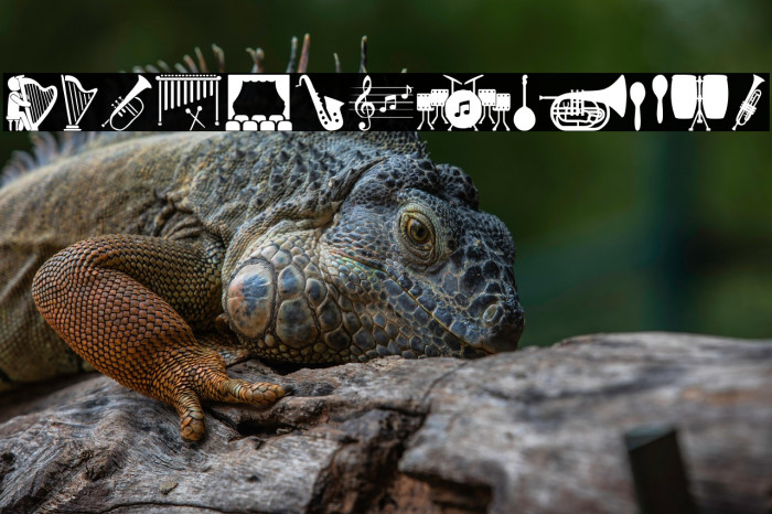 Orchestra Icons Example 1