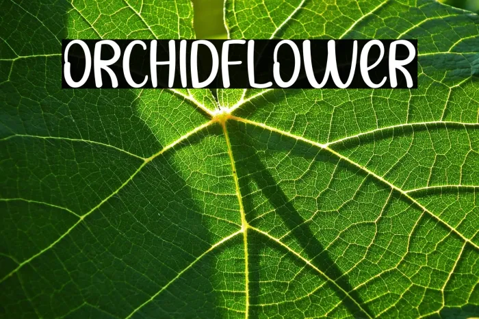 Orchid Flower Example 2