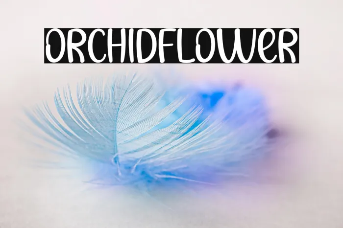 Orchid Flower Example 3