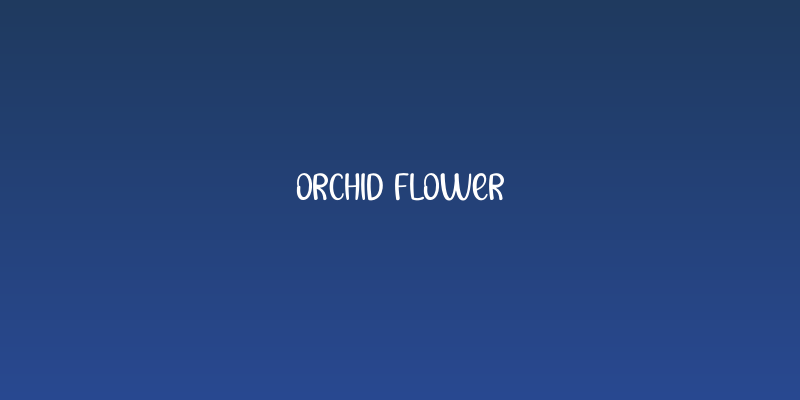 Orchid Flower Social Header