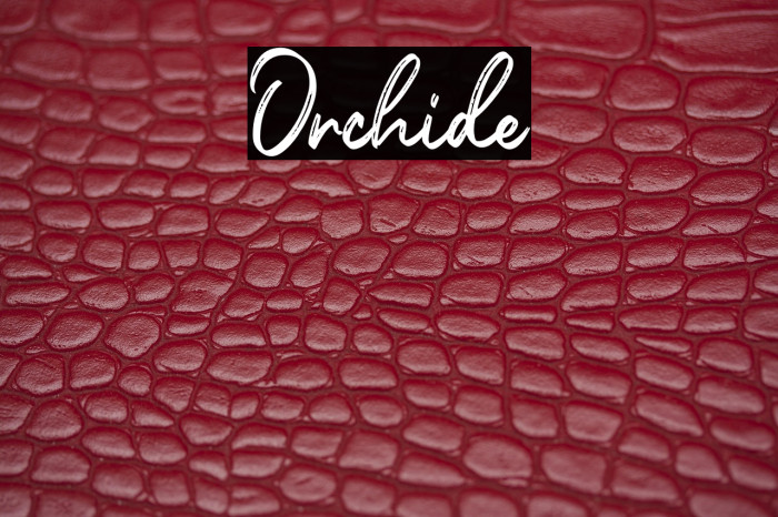 Orchide Example 2
