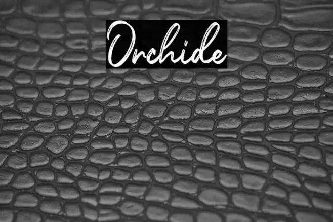 Orchide Font examples