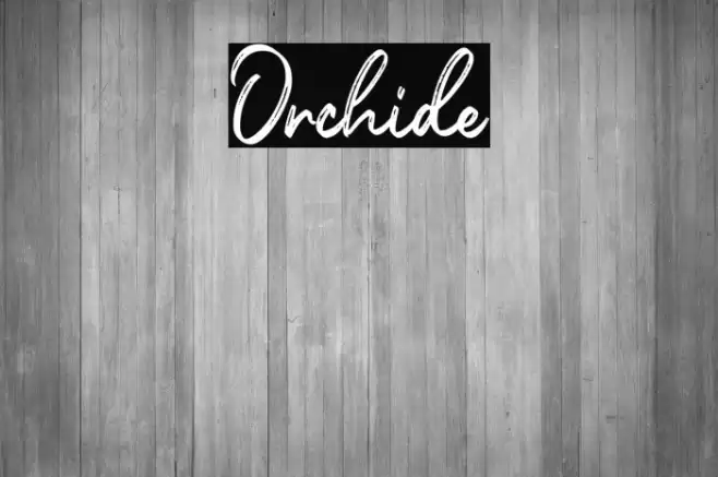 Orchide Font examples