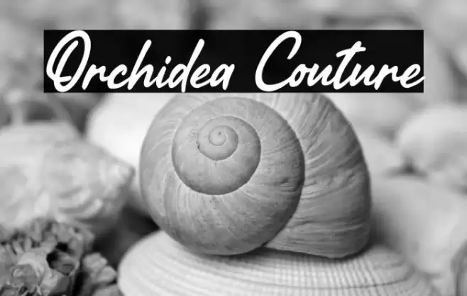 Orchidea Couture Font examples