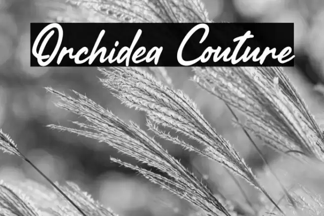 Orchidea Couture Font examples