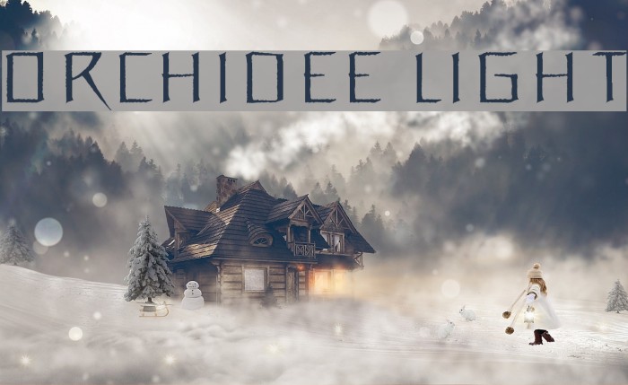 Orchidee Light Font examples