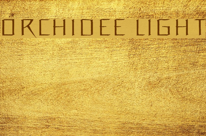 Orchidee Light Font examples
