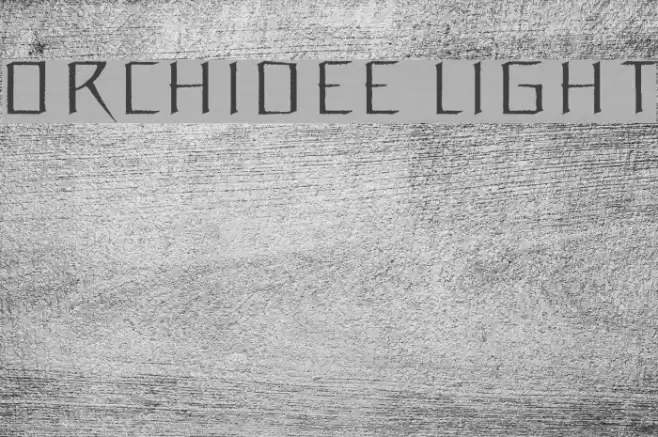 Orchidee Light Font examples