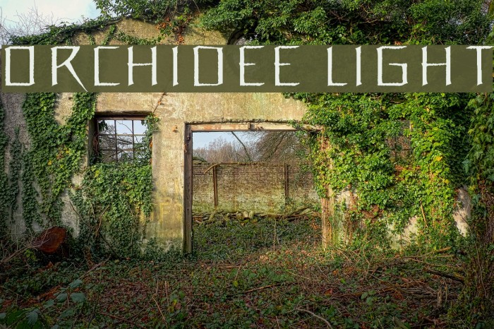 Orchidee Light Font examples