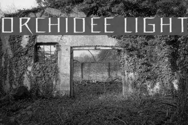 Orchidee Light Font examples