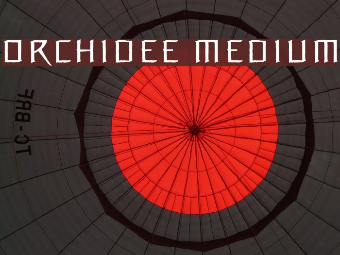 Orchidee Medium フォント examples
