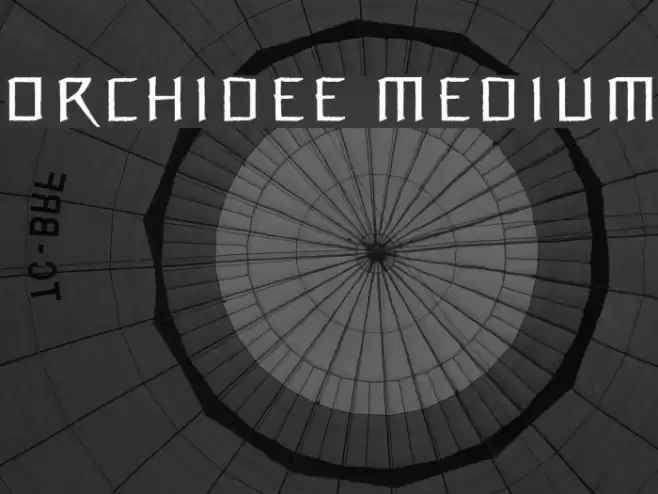 Orchidee Medium フォント examples