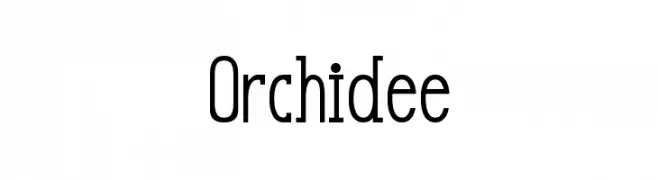 Orchidee  Descarca Fonturi Gratis
