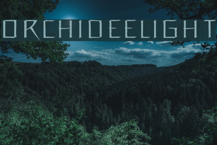 OrchideeLight Font examples