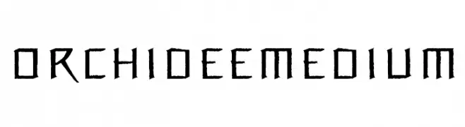 OrchideeMedium  免费字体下载