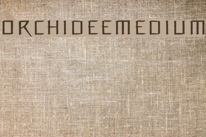 OrchideeMedium Font examples