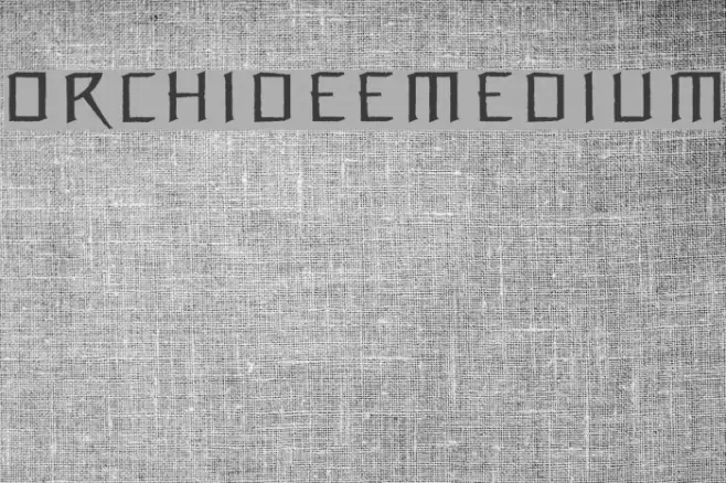 OrchideeMedium Font examples