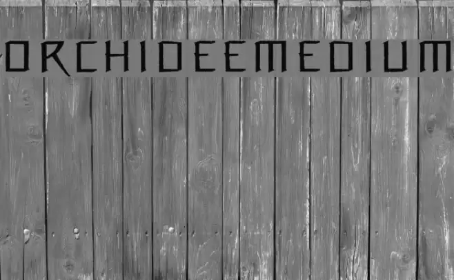 OrchideeMedium Font examples