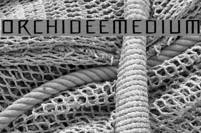 OrchideeMedium Font examples