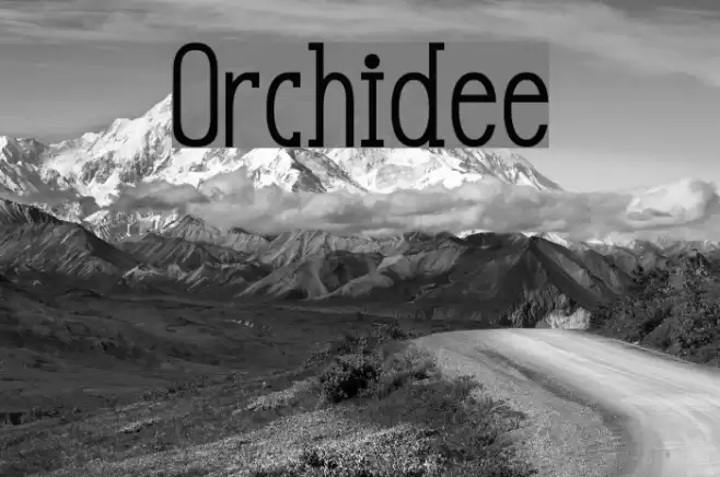 Orchidee Font examples