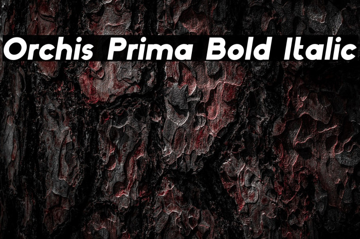 Orchis Prima Bold Italic Example 1