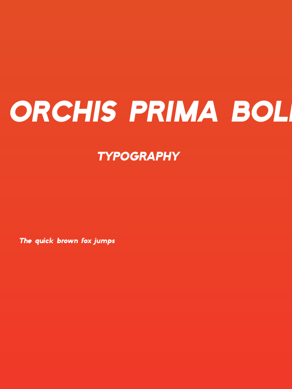 Orchis Prima Bold Italic Poster
