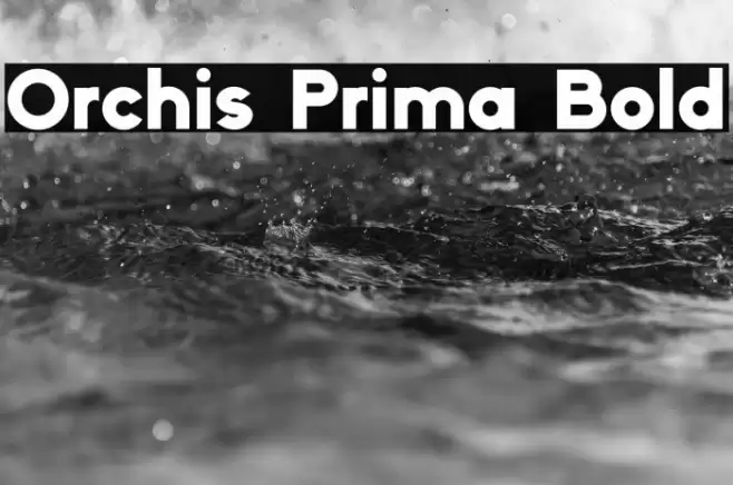 Orchis Prima Bold Font examples