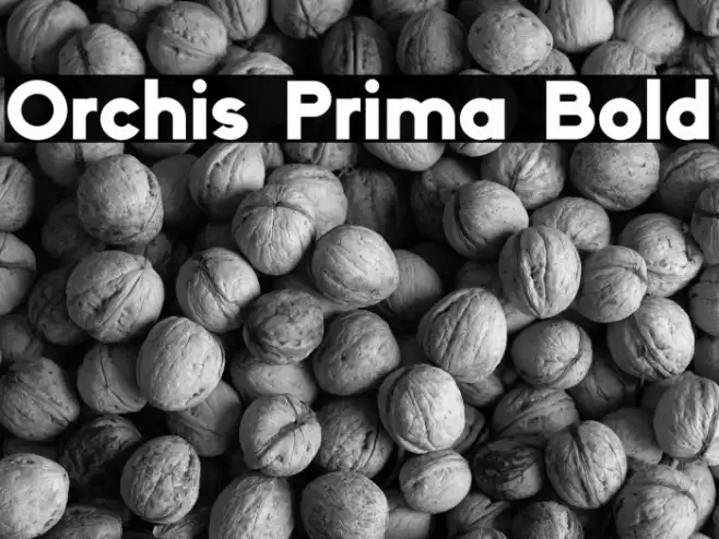 Orchis Prima Bold Font examples