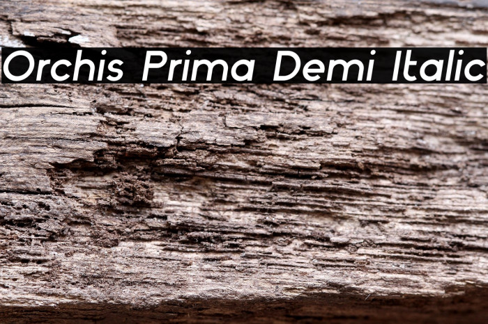 Orchis Prima Demi Italic Example 1