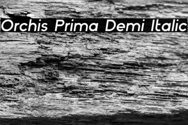 Orchis Prima Demi Italic Font examples