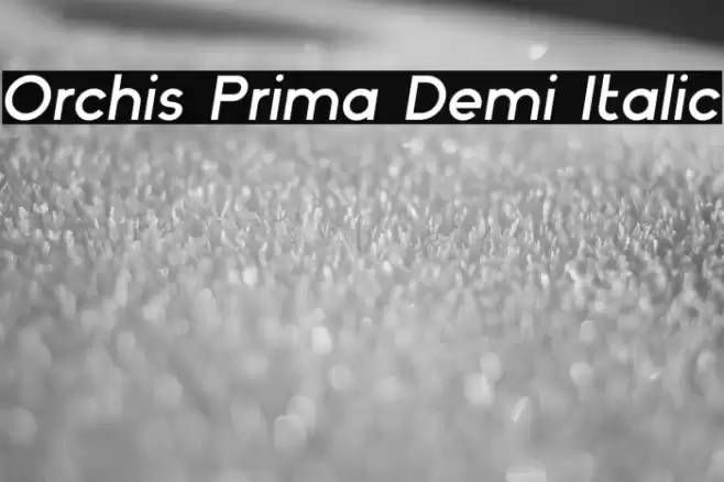 Orchis Prima Demi Italic Font examples