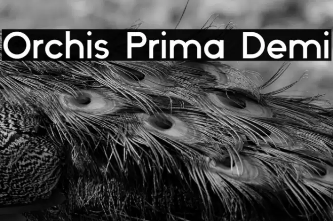 Orchis Prima Demi Font examples