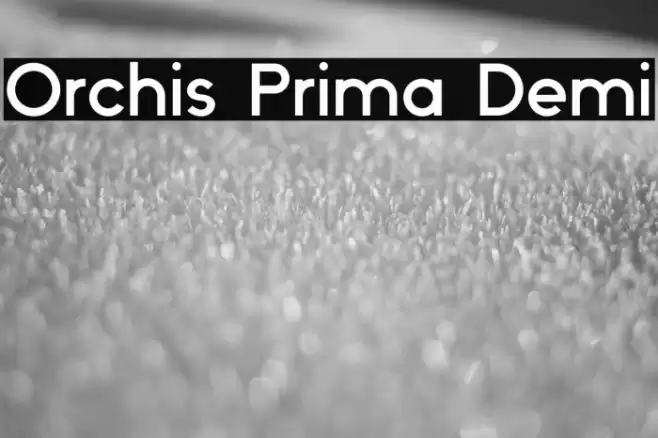 Orchis Prima Demi Font examples