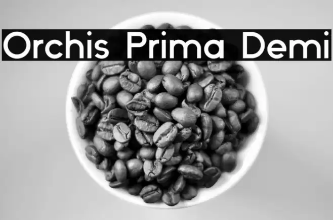 Orchis Prima Demi Font examples