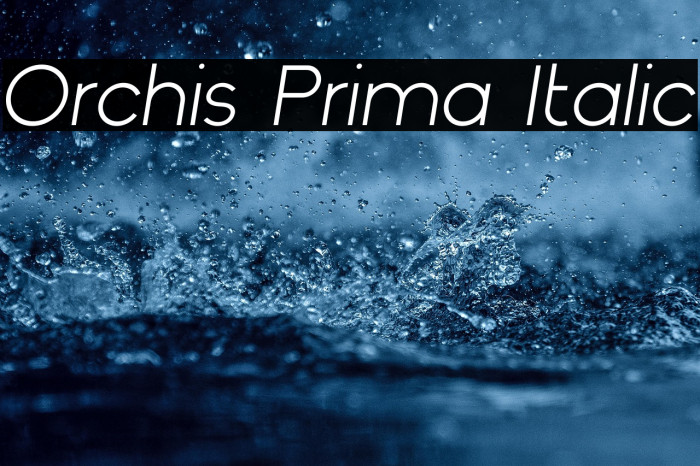 Orchis Prima Italic Example 1