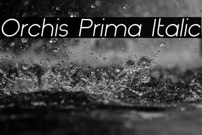 Orchis Prima Italic Font examples