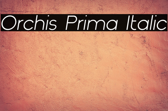 Orchis Prima Italic Example 3