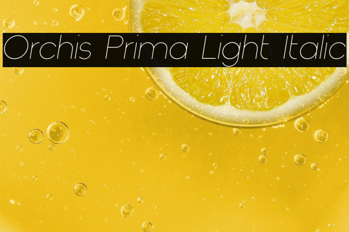 Orchis Prima Light Italic Example 1